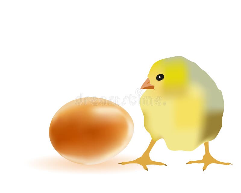 Egg and chicken