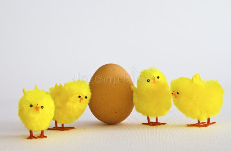 Egg with chicks