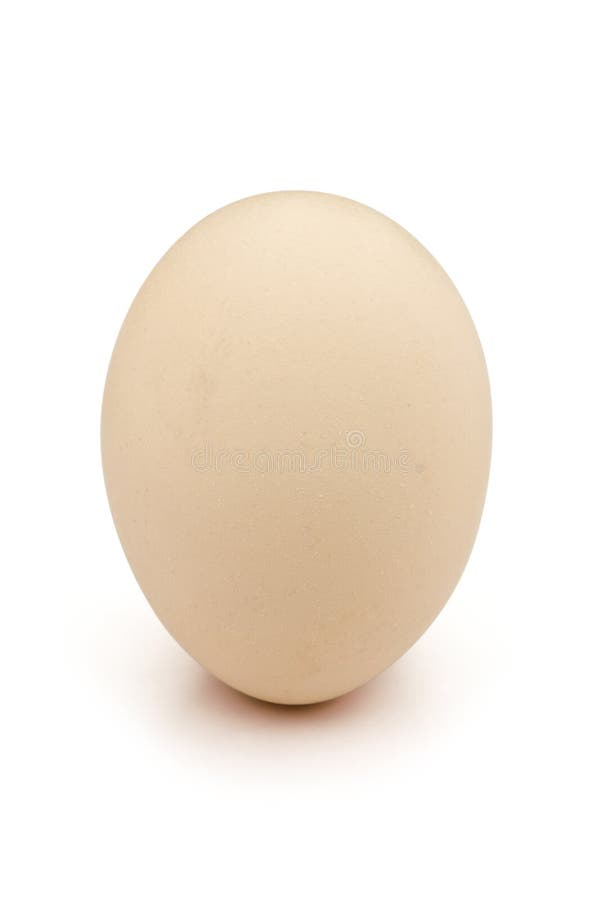 Egg with clipping path stock photo