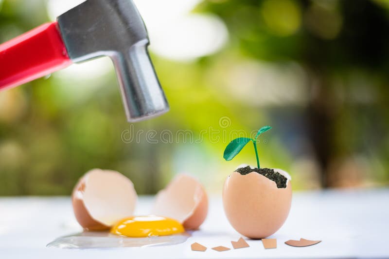 egg crack after hammer hit with young plant growing in egg shell, easter concept