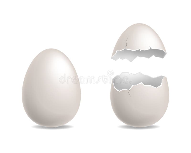 Egg cracked. White chicken eggs realistic, whole and broken element. Cracks and debris eggshell, culinary cooking stock illustration