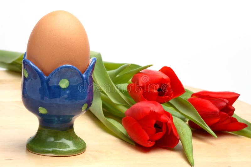 Egg in cup and red tulips