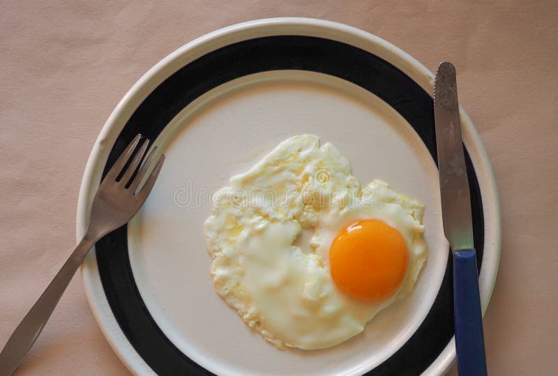 Egg in dish stock photo. Image of tomato, great, kingdom - 75225904
