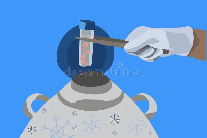 Egg freezing vector isolated illustration. Egg donation.