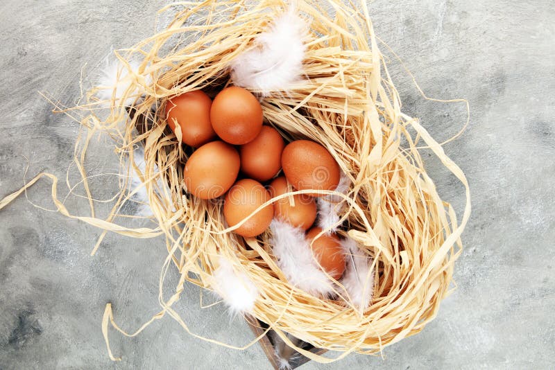 Egg. Fresh Farm Eggs on a Wooden Rustic Background. Stock Image Image
