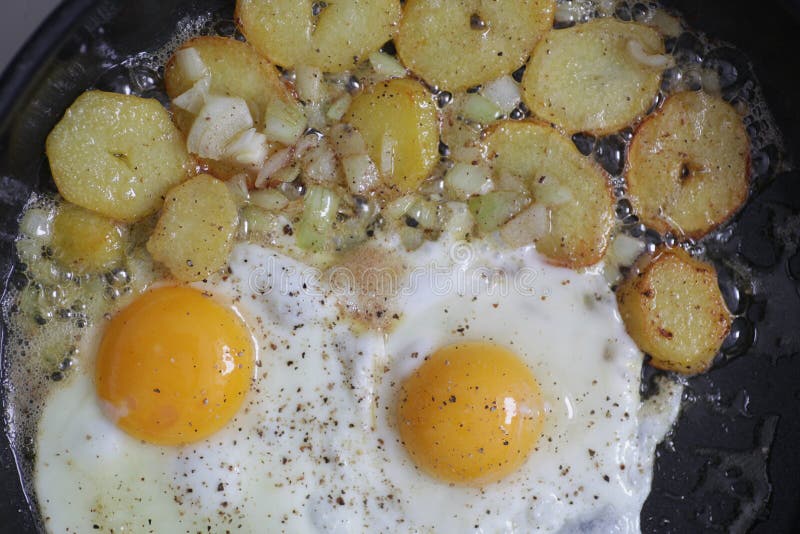 Egg and Fried Potatoes stock photo. Image of meal, delicious - 18136778