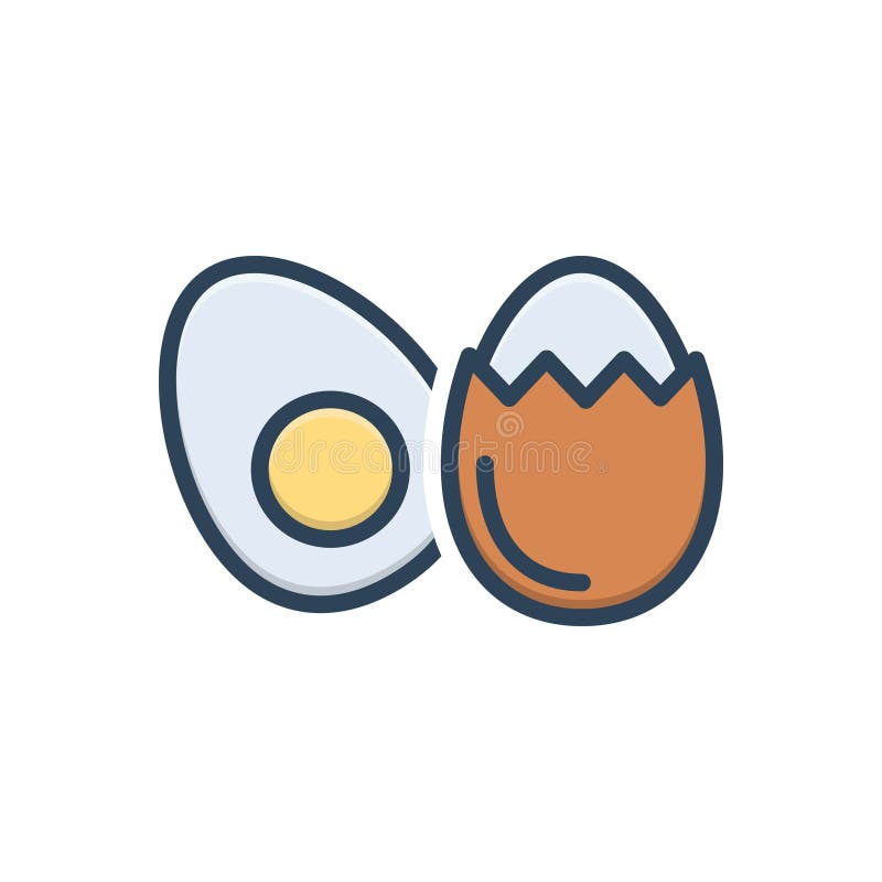 Color illustration icon for Egg, half and cooked vector illustration