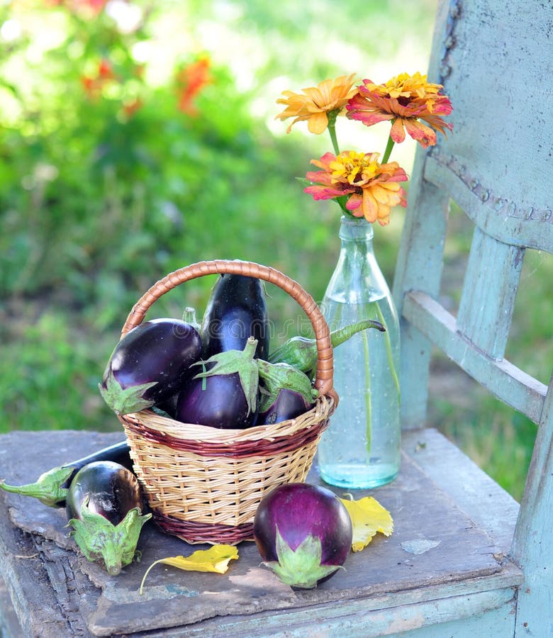 Egg-plants and flowers