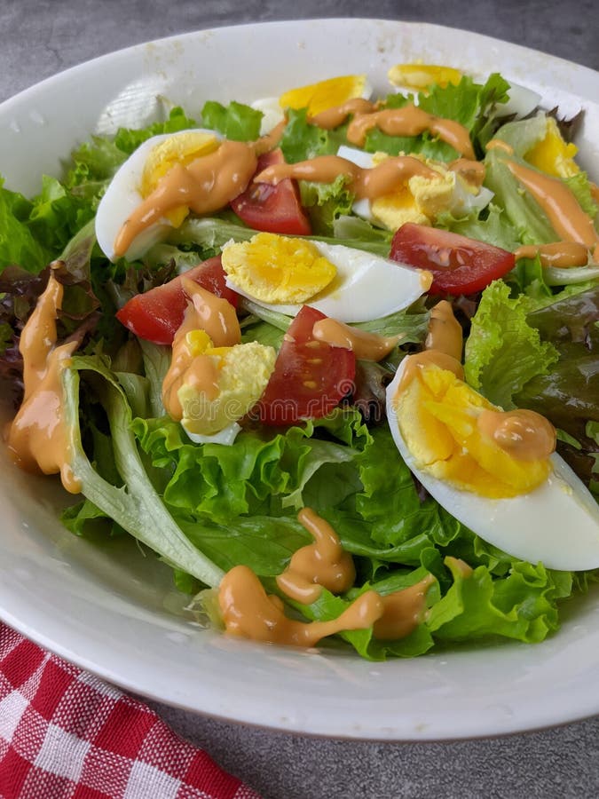 High Carb Low Fat Vegan Diet Info Graphics Stock Photo Image of info