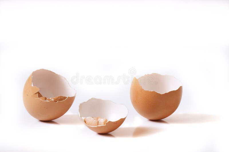 Egg shell