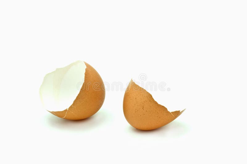 Egg shells