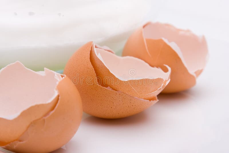 Egg Shells