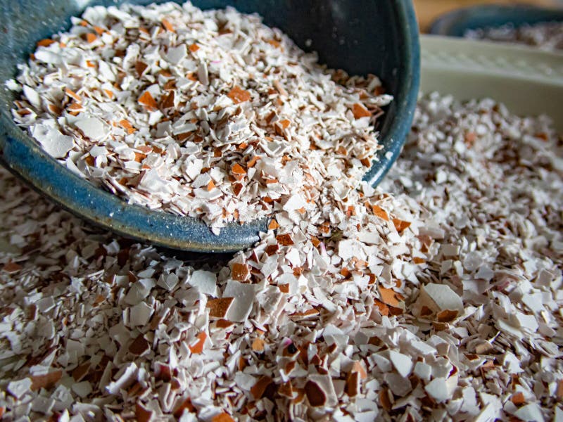 Egg shells crushed in bowl and plate