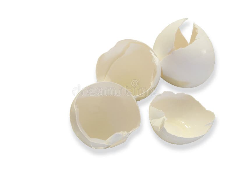 Egg Shells on White