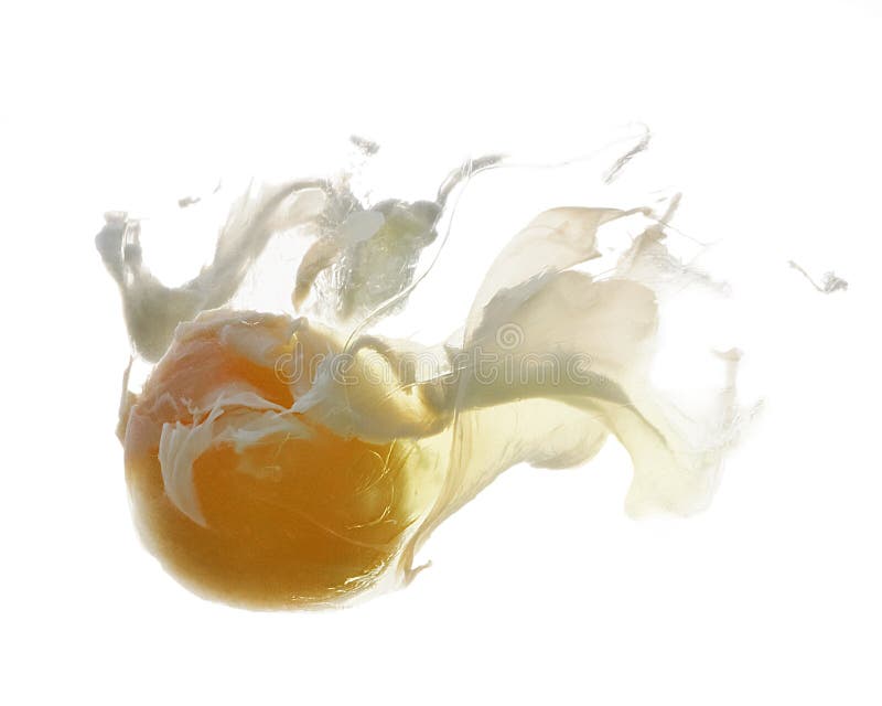 Egg underwater stock photo. Image of ingredients, cook 18359710