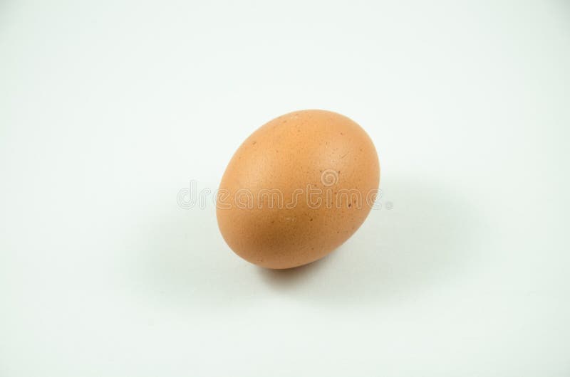 Egg royalty free stock photography