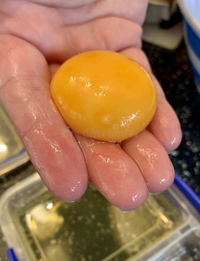 Egg Yolk stock image. Image of slime, cooking, yolk 177690085