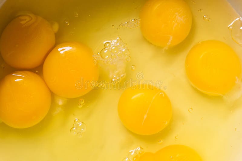 Egg Yolks stock image. Image of shells, mixer, bowl, healthy 27094353
