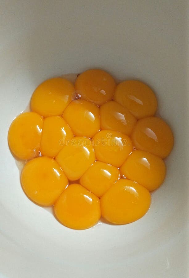 Egg yolks stock photo. Image of rolling, orange, yolk 11625484