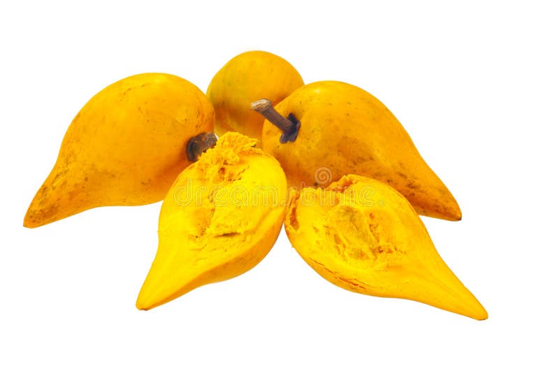 Eggfruit
