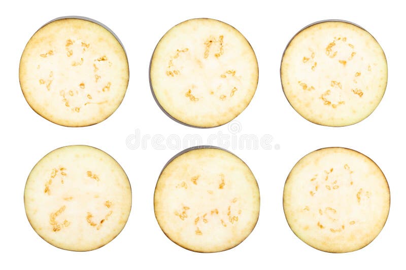 eggplant imagens de stock eggplant imagens de stock