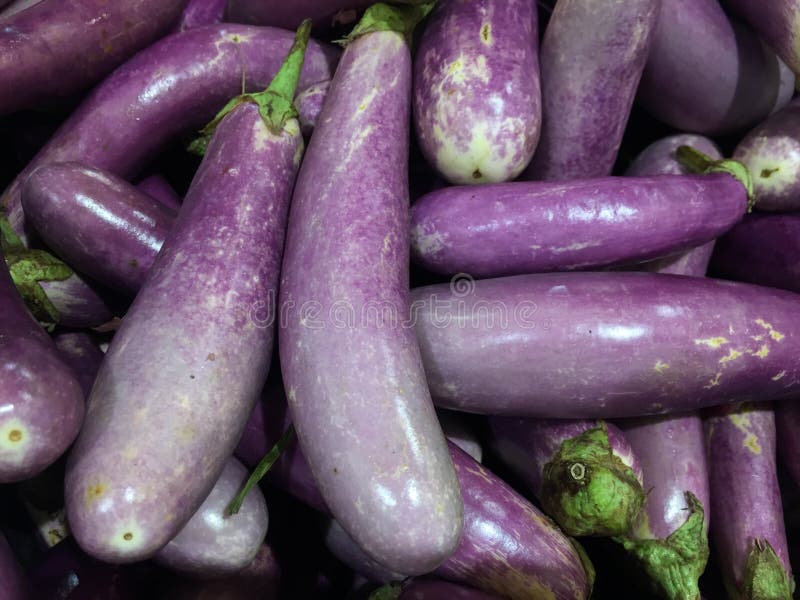 eggplant imagens de stock royalty free eggplant imagens de stock royalty free