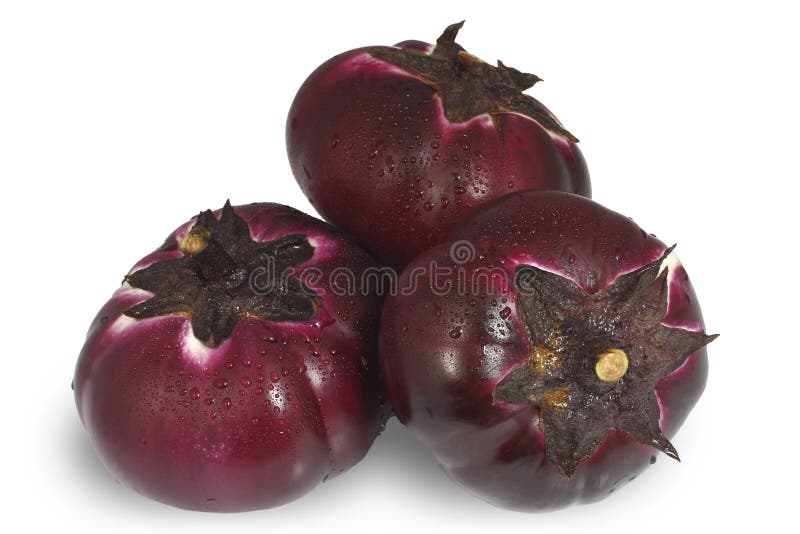 Eggplant royalty free stock images