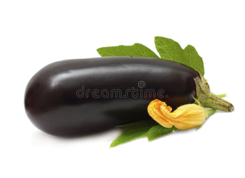 Eggplant vegetable stock photo. Image of group, dietary 21853100
