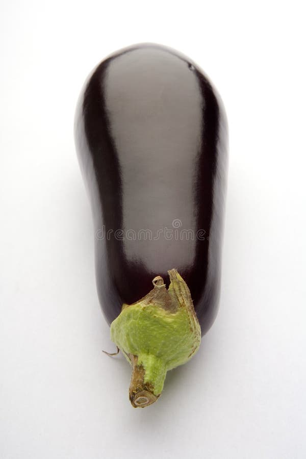 Eggplant or aubergine stock photo. Image of purple, picked 1310924