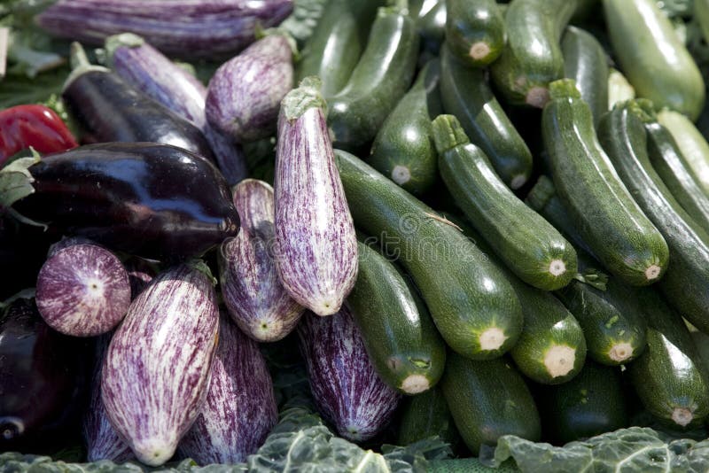 Eggplant, Aubergine, Courgette and Zucchini Stock Photo Image of