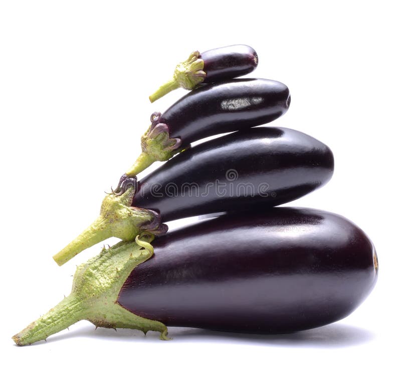Eggplant or Aubergine Vegetable Stock Image Image of round, gourmet