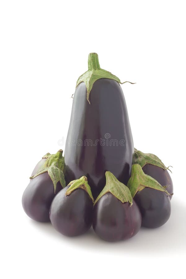 Baby Eggplant Fruit, Flower and Leaf Stock Image Image of vegetable