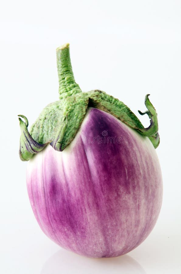Eggplant fruit stock image. Image of solanum, aubergine 15659013