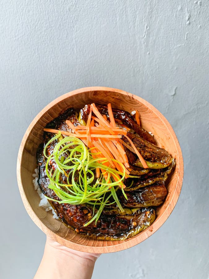 Eggplant Kabayaki Donburi stock image. Image of kabayaki 220538281