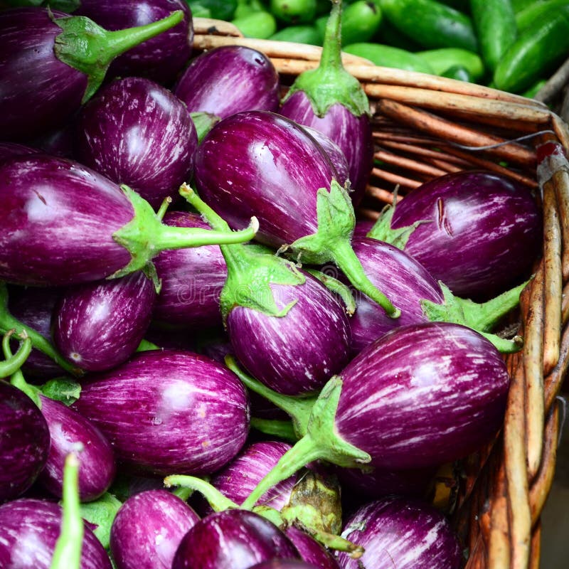 Eggplant purple stock image. Image of green, food, colorful 16281769