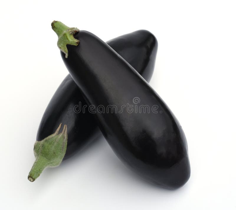 Eggplant, Solanum, Melongena Stock Photo Image of medicinal, potted 274843044