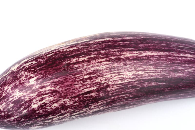 Eggplant, Solanum, Melongena Stock Image Image of home, melongena