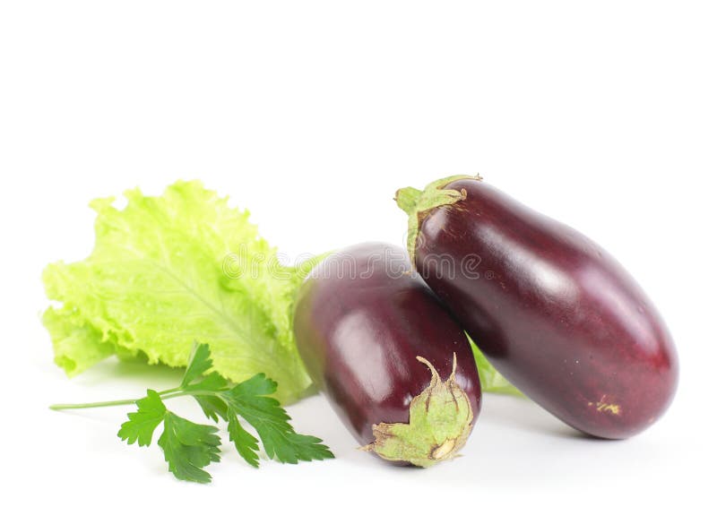 Tomato and Eggplant Vegetable Fruits Isolated Stock Photo Image of