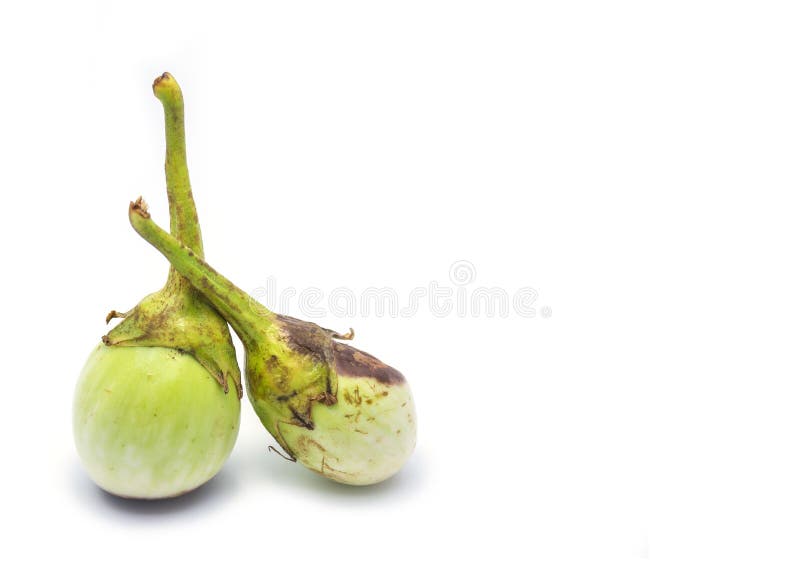 Eggplant Withering Stock Photos Free & RoyaltyFree Stock Photos from