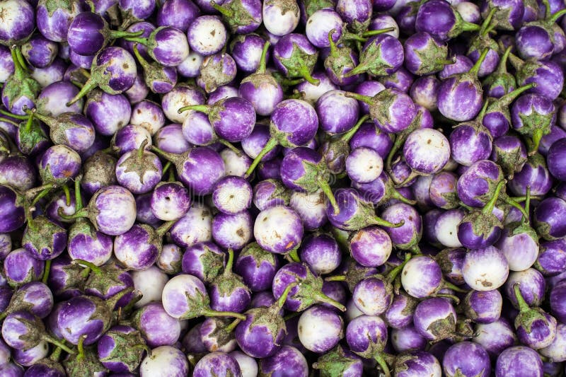 Eggplants at asian market. Organic food background