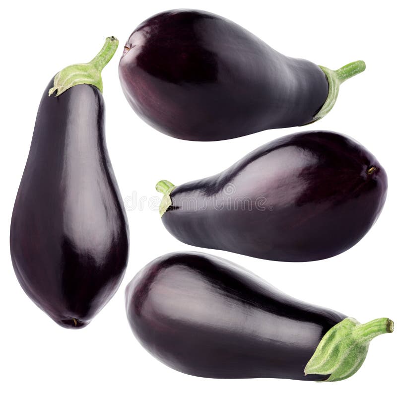 Eggplants. Collection of Whole Eggplants on White Background, with