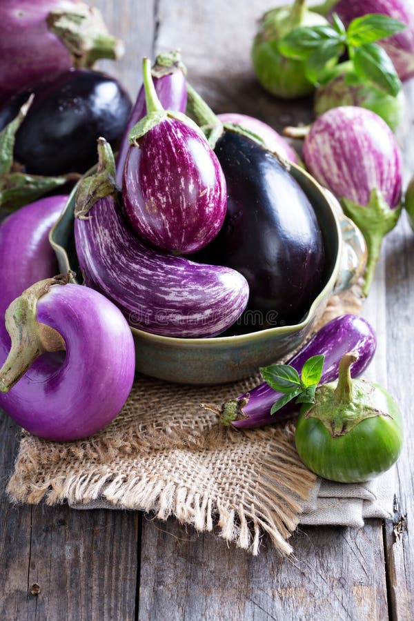 Purple Eggplants Of Different Color And Variety On The White Background