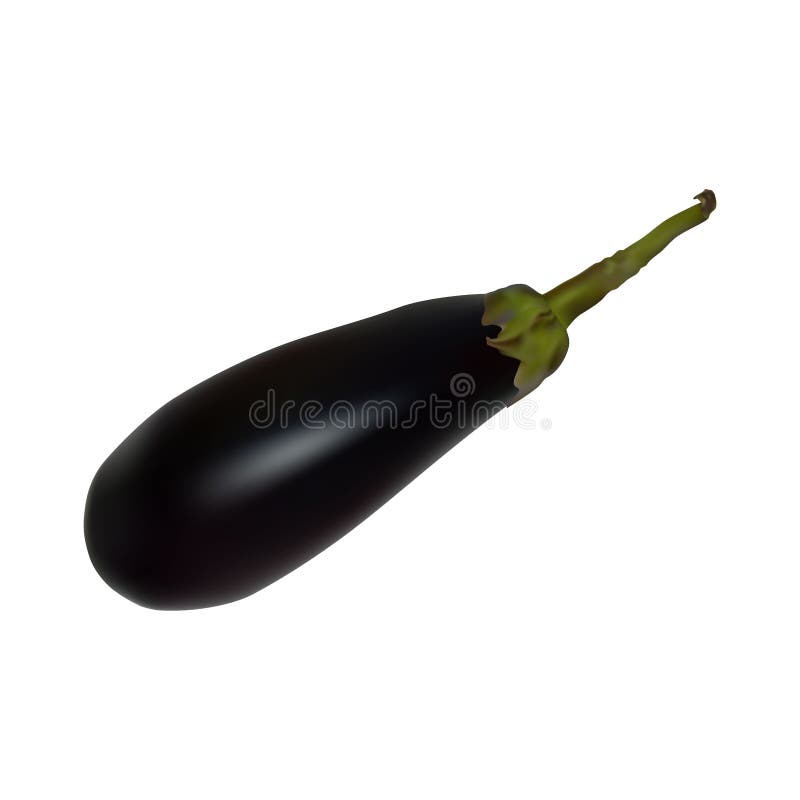 Eggplants Isolated Stock Illustrations 754 Eggplants Isolated Stock