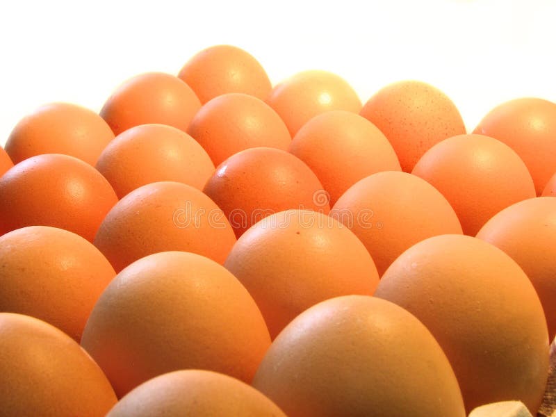 Eggs stock image. Image of eggs, preparation, multiple 668909