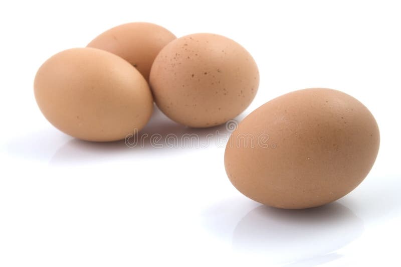 1,600+ Rotten Eggs Stock Photos, Pictures & Royalty-Free Images - iStock