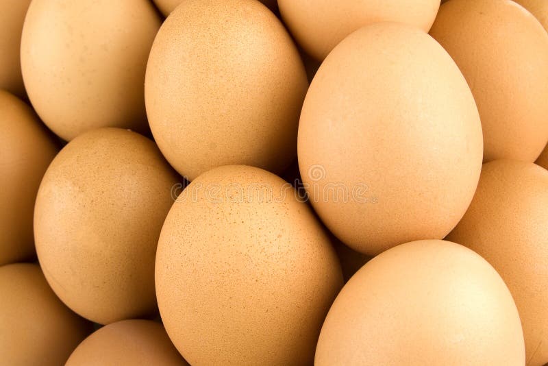 Eggs