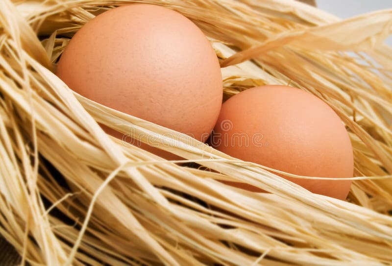 Eggs