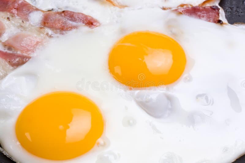 Eggs royalty free stock image