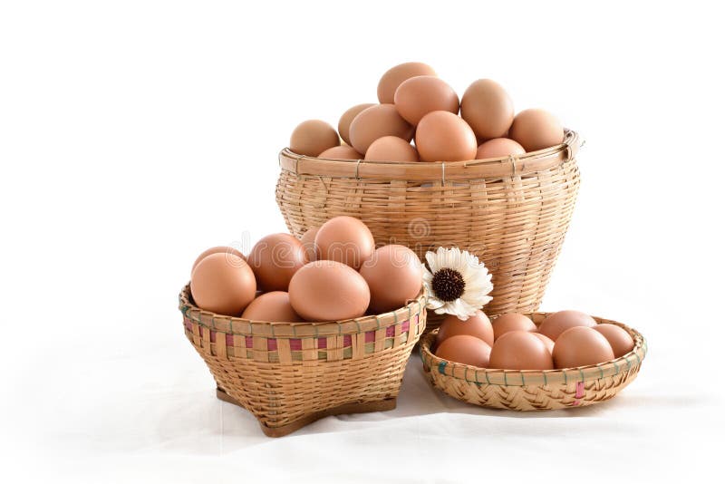 Eggs in Basket Filled Isolated on White Background Stock Photo Image