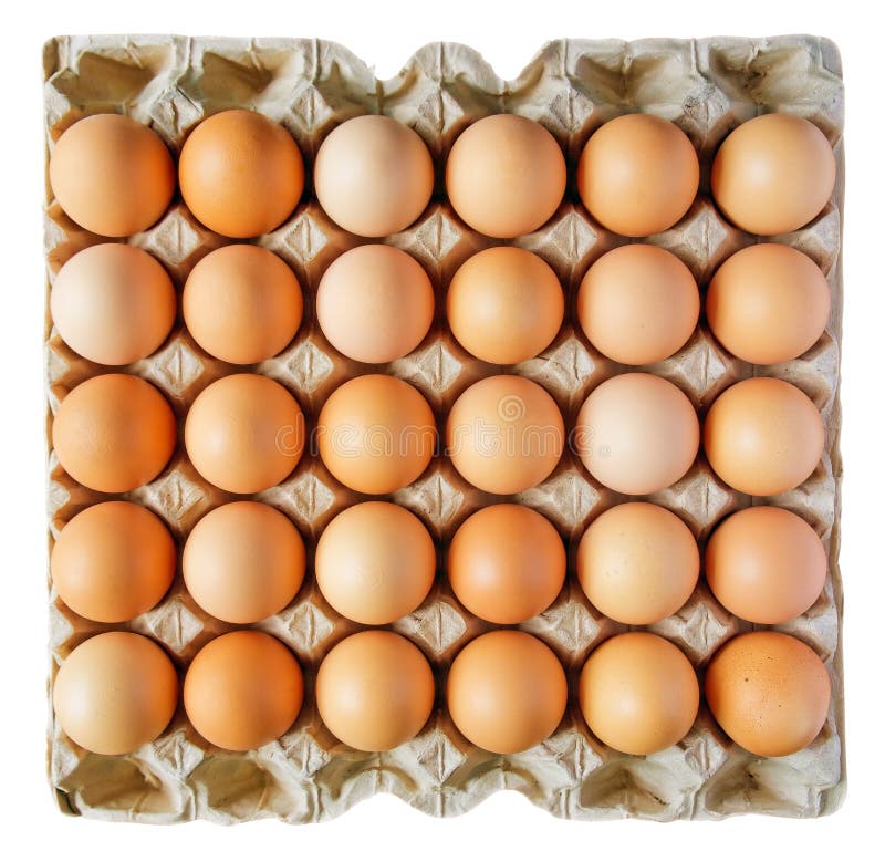 Eggs in a box stock image. Image of foodstuff, easter 19053395
